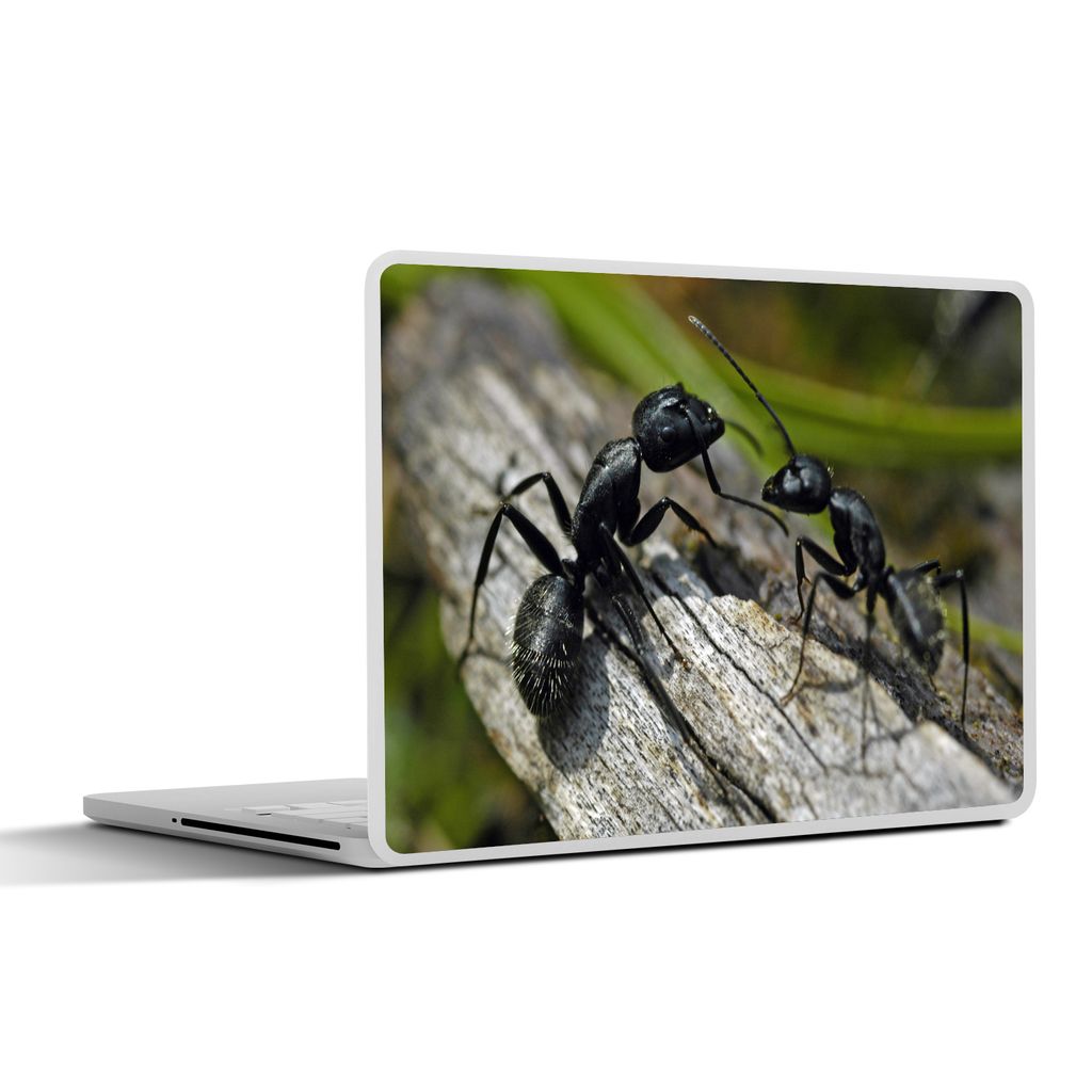 MuchoWow Laptop Aufkleber Sticker Cover Ameisen - Rüssel - Tiere 31x22.5 cm - Laptop-Deko