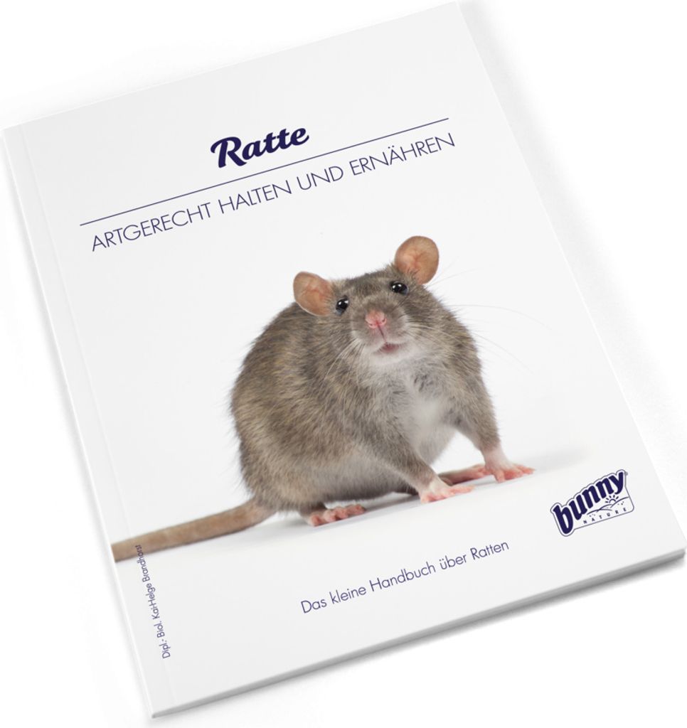 Bunny BOOKS Ratte