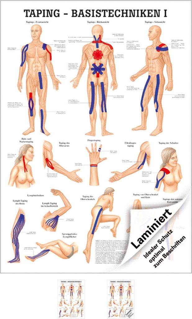 Taping Basistechniken I Lehrtafel Anatomie 100x70 cm medizinische Lehrmittel