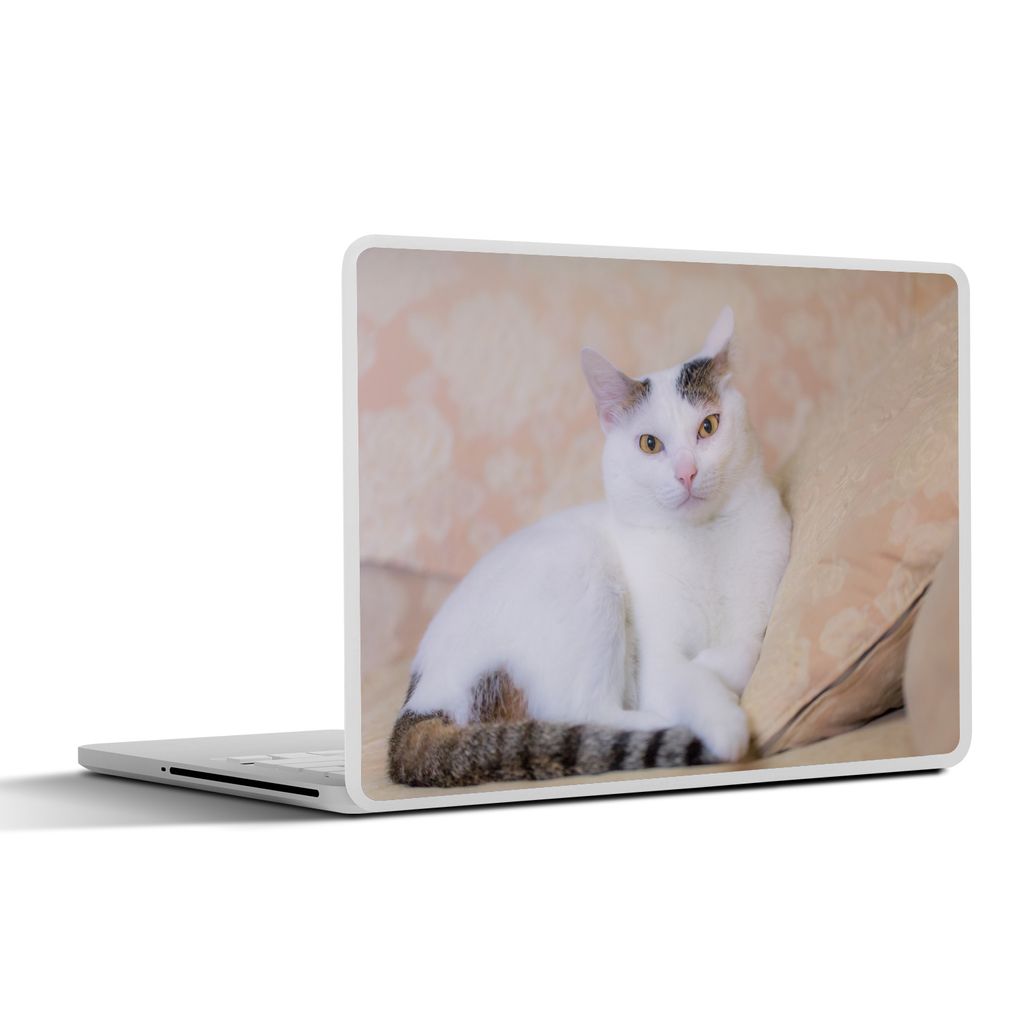 MuchoWow Laptop Aufkleber Sticker Cover Katze - Weiß - Bank - Mädchen - Kinder - Jungen - Kinder 36.5x27.5 cm - Laptop-Sticker