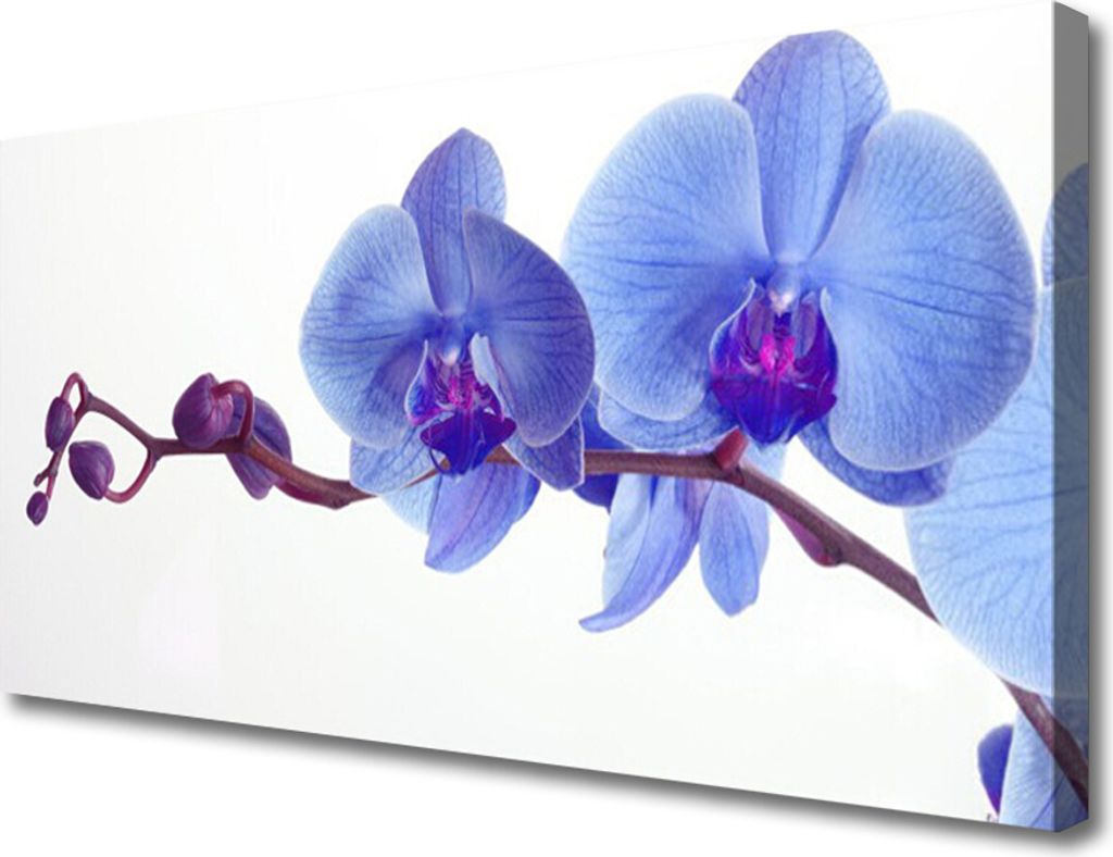 Tulup Leinwand-Bilder 100x50 Wandbild Canvas Kunstdruck Blumen Pflanzen