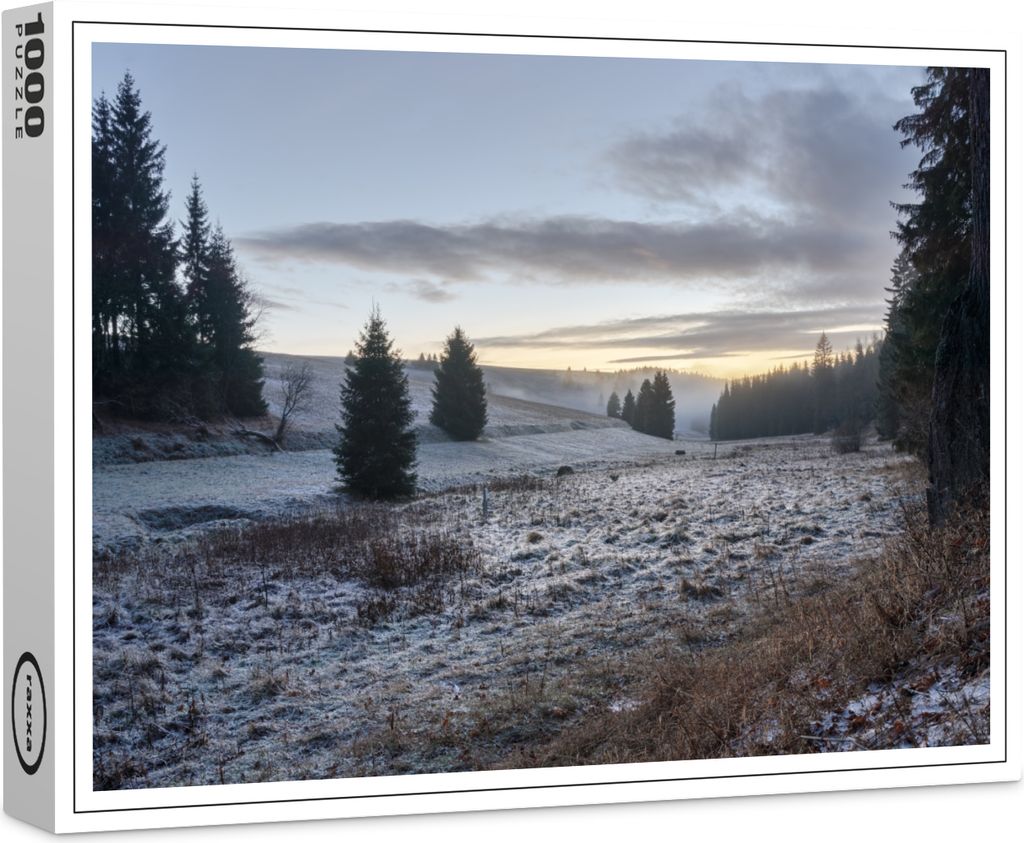 raxxa Premium-Puzzle "Vereiste Wiese im Abendlicht", 1000 Teile
