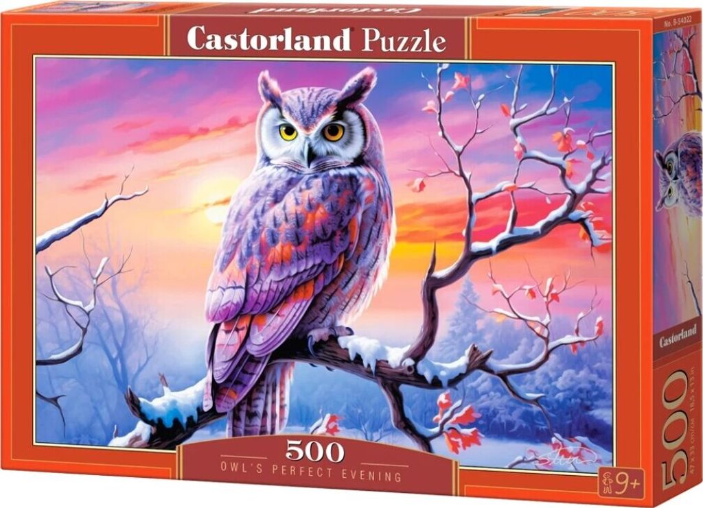 CASTORLAND Puzzle Der perfekte Abend mit der Eule 500 Teile
