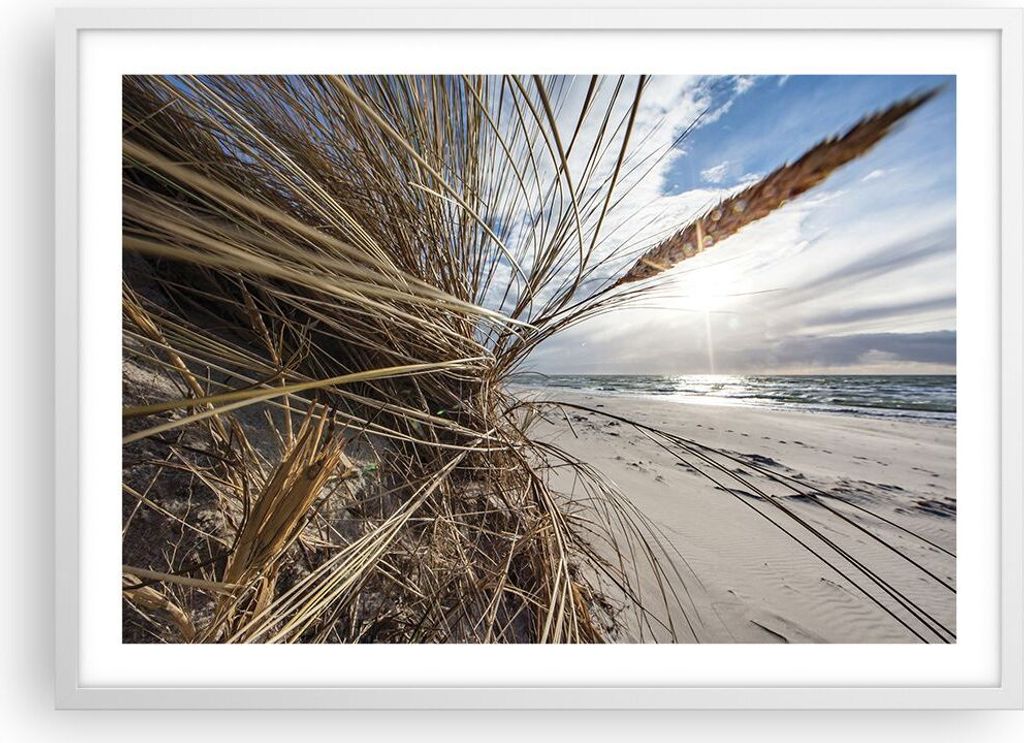 Gerahmtes Poster - Weißer Rahmen - Küste Perspektive Gras - 70x50 cm - Wand Bild - Wanddeko - Wandbilder - Kunstposter - Wandposter - Bilderrahme...