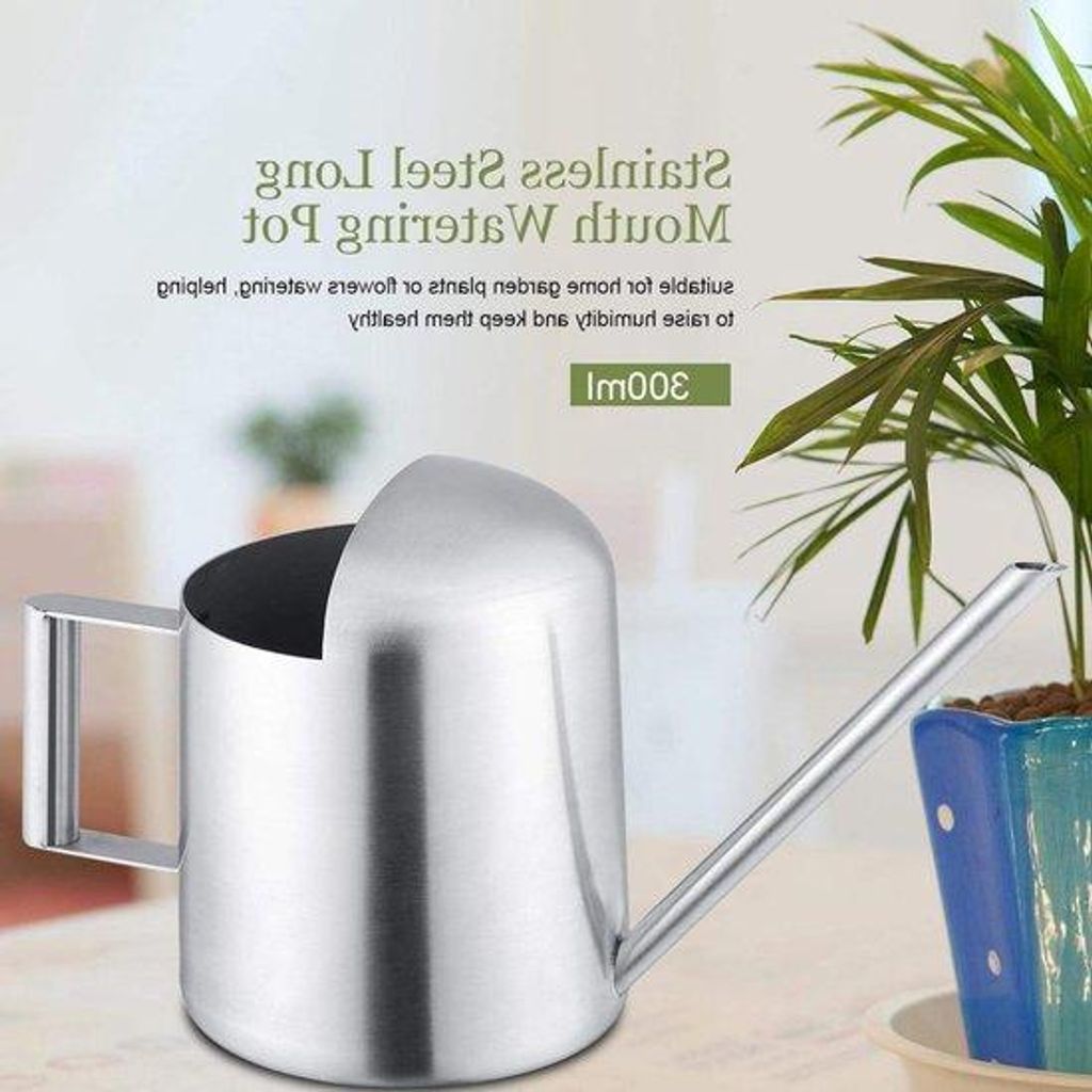 Klein RVS-Gieter für Außen mit langem Mund - ideal für kleine Pflanzen, Wasserung von Blumen.