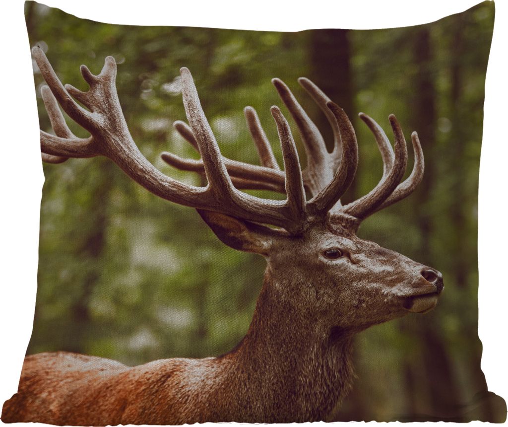 MuchoWow Outdoor Kissen - Hirsch - Natur - Geweih - Wald - Tiere - 50x50 cm - Wetterfest - Lounge Kissen - Komfortabel - Kissen mit Bild