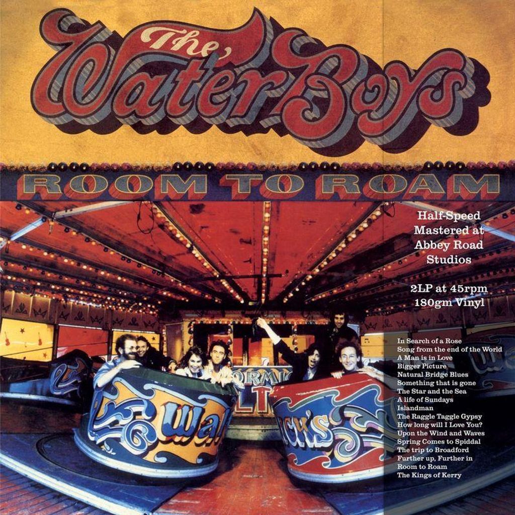 The Waterboys - Room To Roam (Remastered) (180 g) (2 LP)