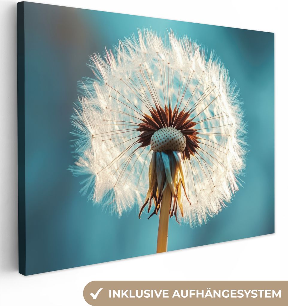 Leinwand Bilder 40x30 cm - Blumen - Löwenzahn - Blau, Wandbilder, Wanddeko Wohnzimmer, Bild