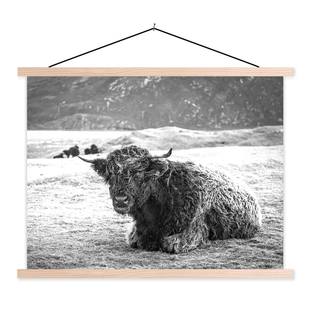 MuchoWow Textilposter Schottischer Highlander - Berg - Tiere 60x45 cm mit holzfarbenen Rahmen - Bild