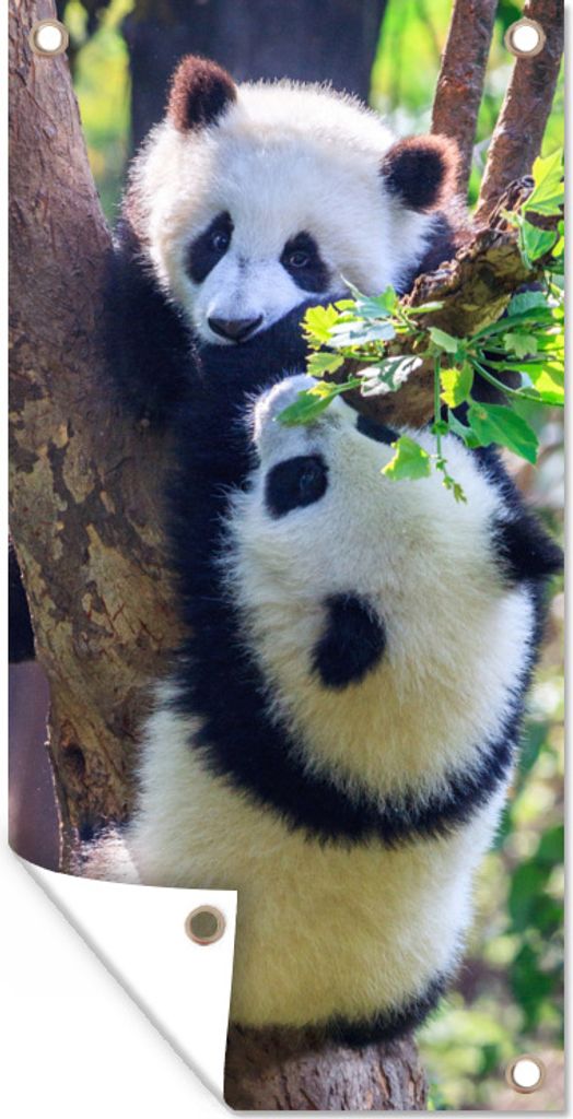 MuchoWow 80x160 cm Outdoor-Poster Gartendeko Sichtschutz Garten Poster für den Garten Pandas - Baum - Natur