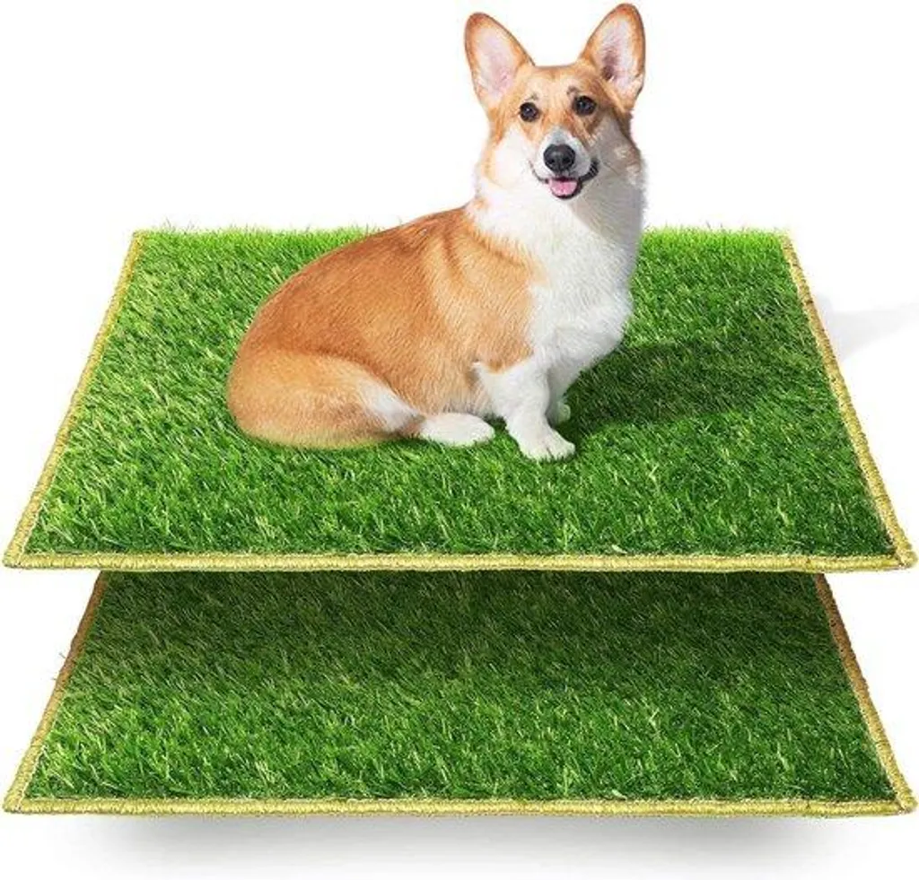 Tapis de toilettes pour chiens : fini les fuites et odeurs au sol !