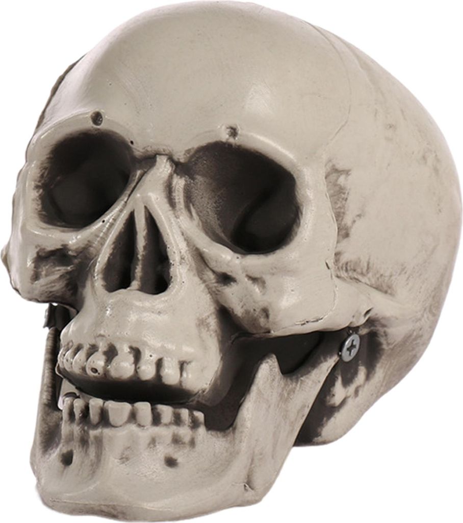 Halloween-Totenkopf-Dekoration, Kunststoff, realistische menschliche Totenkopf-Figur für Friedhofsszene, Spukhaus, Bar, Heimtischdekoration
