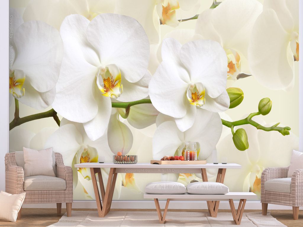 Vlies Fototapete Blumen Orchidee 400x280 cm Tapeten Wandtapete XXL Natur b-B-0337-a-a