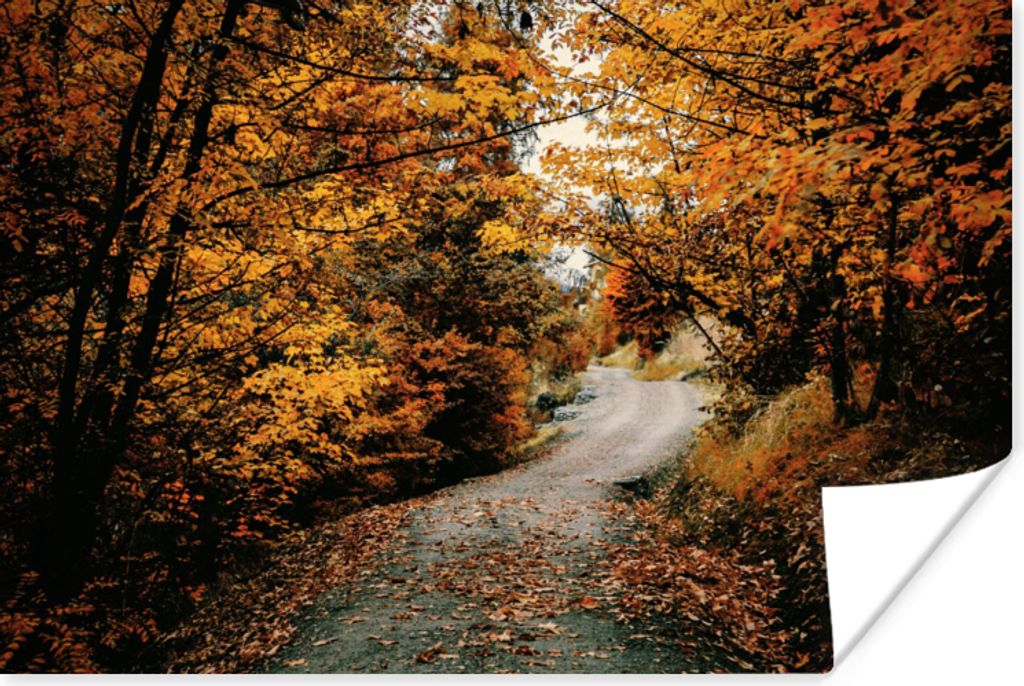 MuchoWow Poster Herbstwald - Weg - Laub - Ländlich 120x80 cm - Bilder
