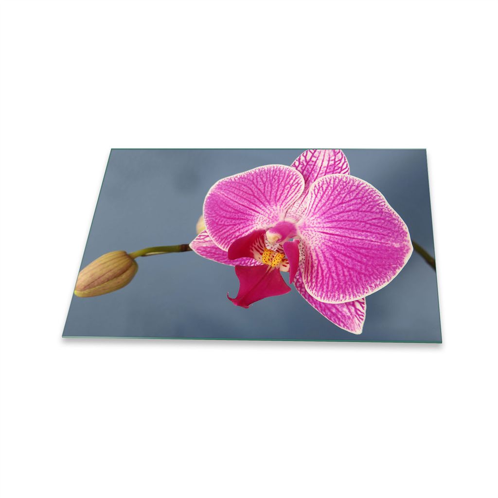 Herdabdeckplatte Glaskeramik 1 Teilig 80x52 Orchidee Pink Abdeckung Glas Spritzschutz