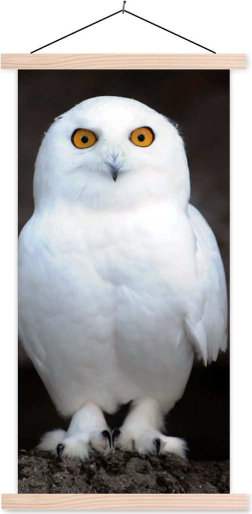 MuchoWow Textilposter Schneeeule 40x80 cm mit holzfarbenen Rahmen - Wohnzimmer