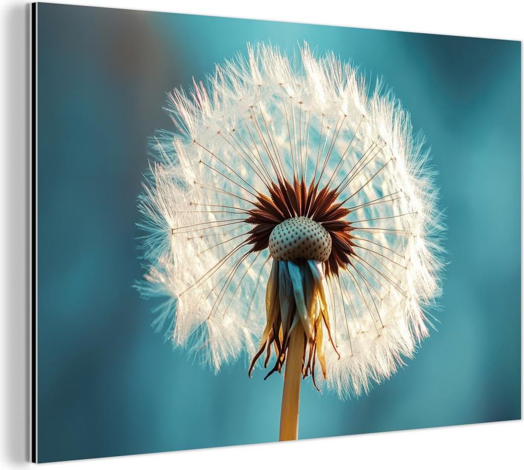 MuchoWow Wanddekoration Metall Metallbild Wandkunst 30x20 cm Löwenzahn - Natur - Blumen - Blau MuchoWow Aluminium Gemälde - Aluminiumgemälder