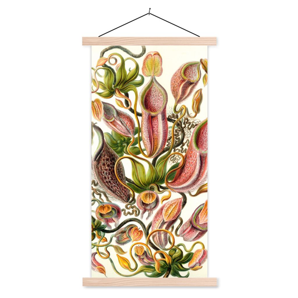 MuchoWow Textilposter Design - Fleischfressende Pflanze - Botanisch - Ernst Haeckel 40x80 cm mit holzfarbenen Rahmen - Wohnzimmer