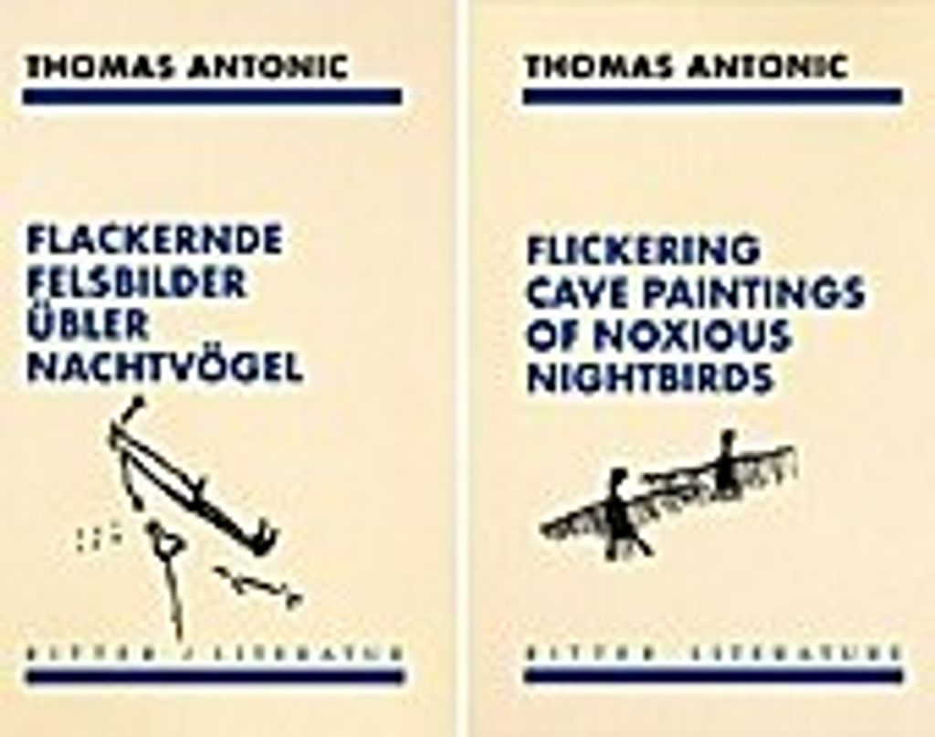 Flackernde Felsbilder übler Nachtvögel / Flickering cave paintings of noxious nightbirds