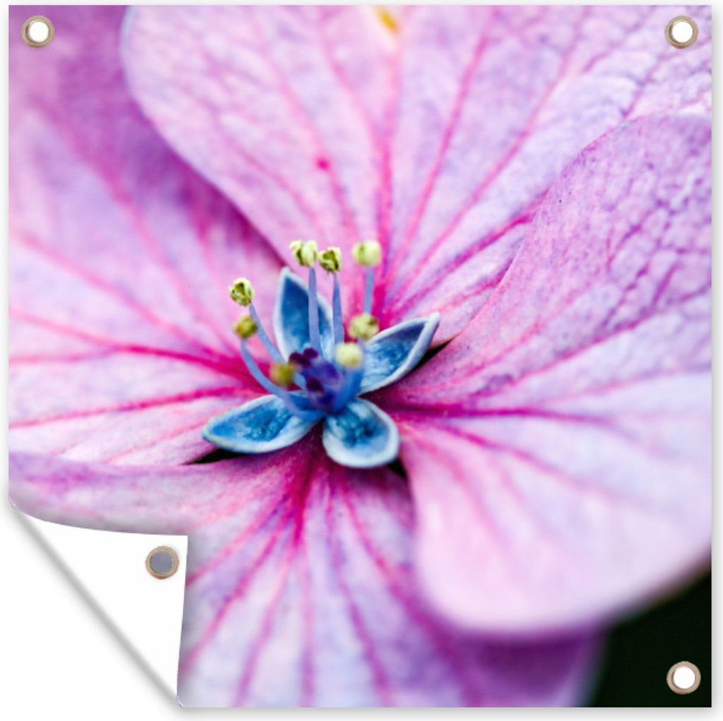 MuchoWow 100x100 cm Outdoor-Poster Gartendeko Sichtschutz Garten Poster für den Garten Hortensien Details