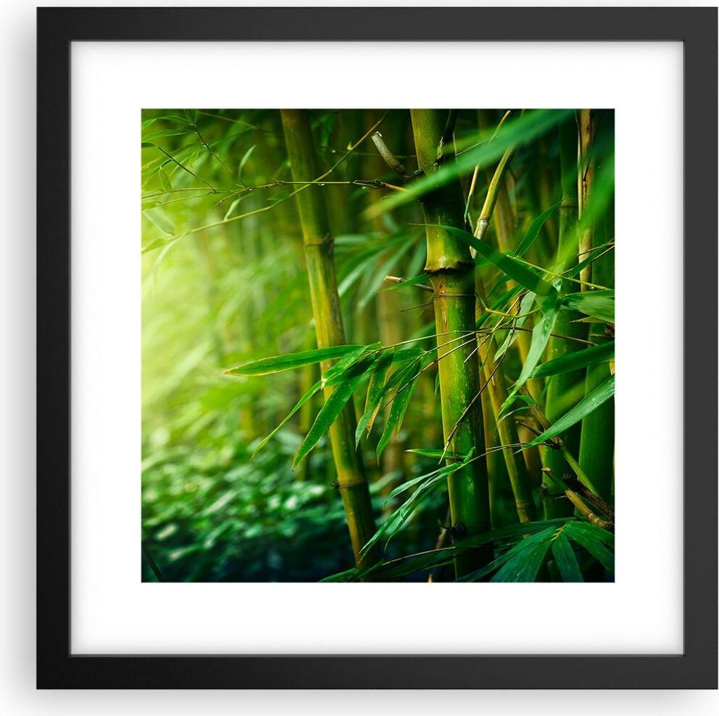 Gerahmtes Poster - Schwarzer Rahmen - Bambus Pflanze - 30x30 cm - Wand Bild - Wanddeko - Wandbilder - Kunstposter - Wandposter - Bilderrahmen - Bil...