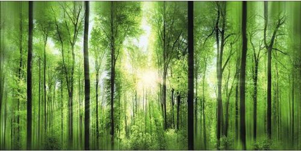 Metallbild Forest Feeling II 200x100 cm