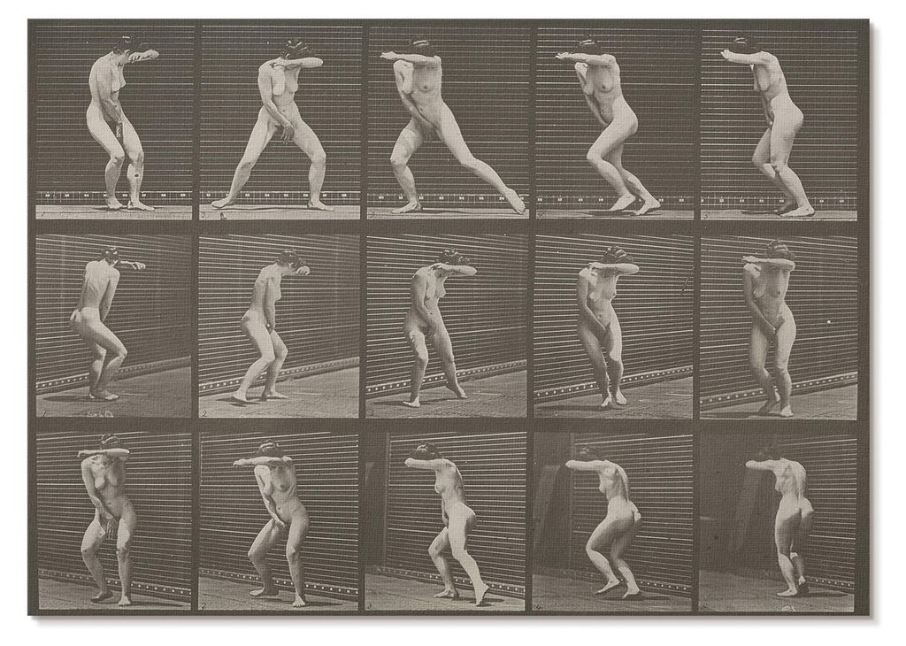 POSTER - 84x59 cm (A1) - Eadweard Muybridge - Tellernummer 73. Überraschende Wendung und Flucht (1887) von Eadweard Muybridge - Wandbild für Wohn...