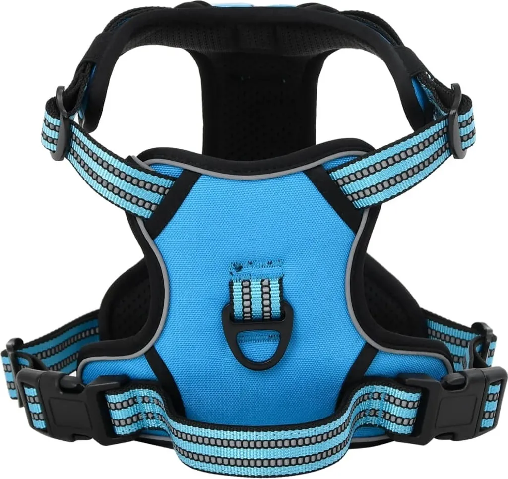 Set Blue Dog Best Möbel: Pettorina M, Guinzaglio e Collare Regolabile