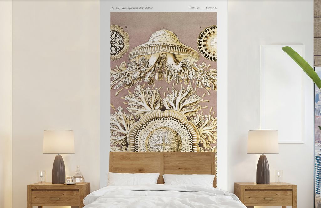 MuchoWow Fototapete für Wohnzimmer oder Schlafzimmer Wandtapete Vinyl Motivtapete Jahrgang - Ernst Haeckel - Qualle - Kunst - 120x240 cm - Hinte...