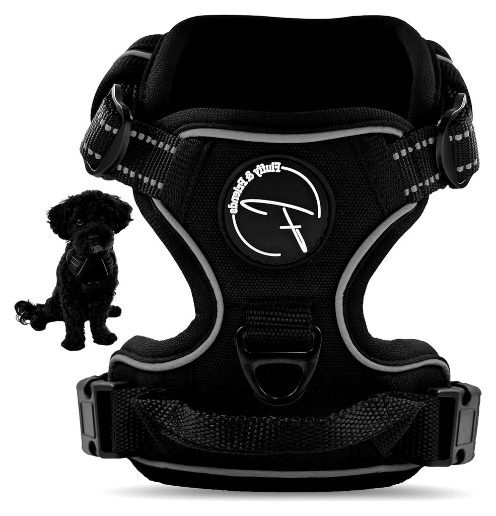 Reflektierendes Hundegeschirr aus Nylon für kleine und mittelgroße Hunde - Anti-Zug Geschirr für Trainingseinheiten mit Welpen - atmungsaktive M...