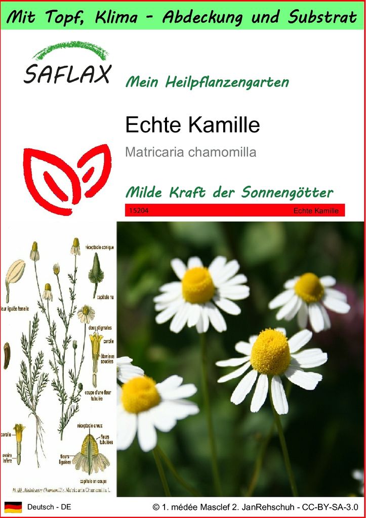 SAFLAX Garden to go - Echte Kamille - Matricaria chamomilla Produktbild 