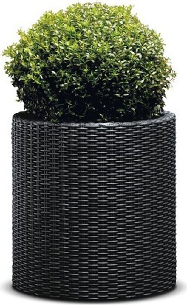 Blumentopf Keter-Zylinder M graphit