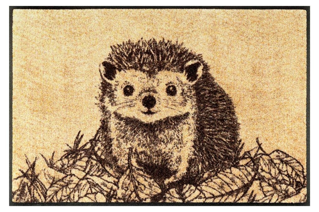 Fußmatte Hedgy 50x75 cm, für Innen- und Außenbereich, waschbar, bunt