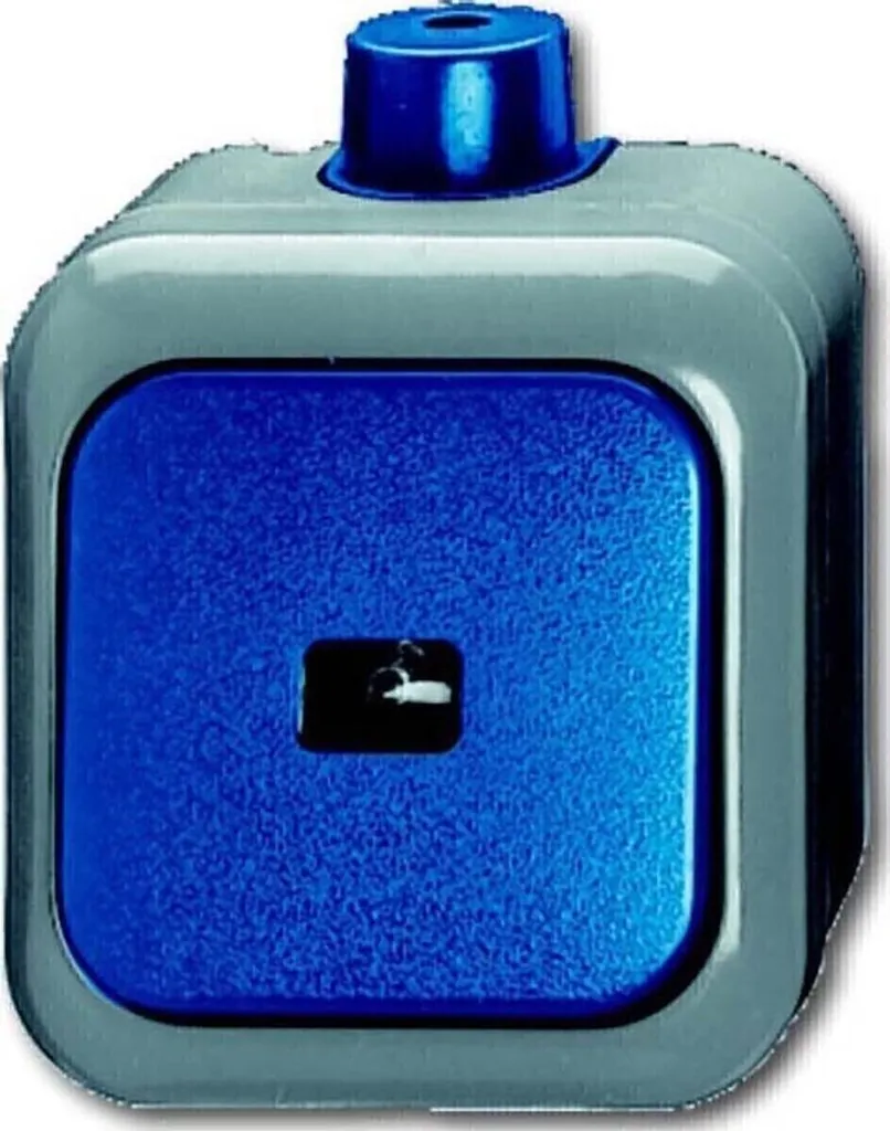 Interrupteur de Surface Busch Jaeger 2621 WDI Vert et Gris Robuste