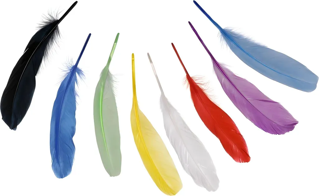 Assortiment de plumes pour attrape-rêves et costumes de carnaval