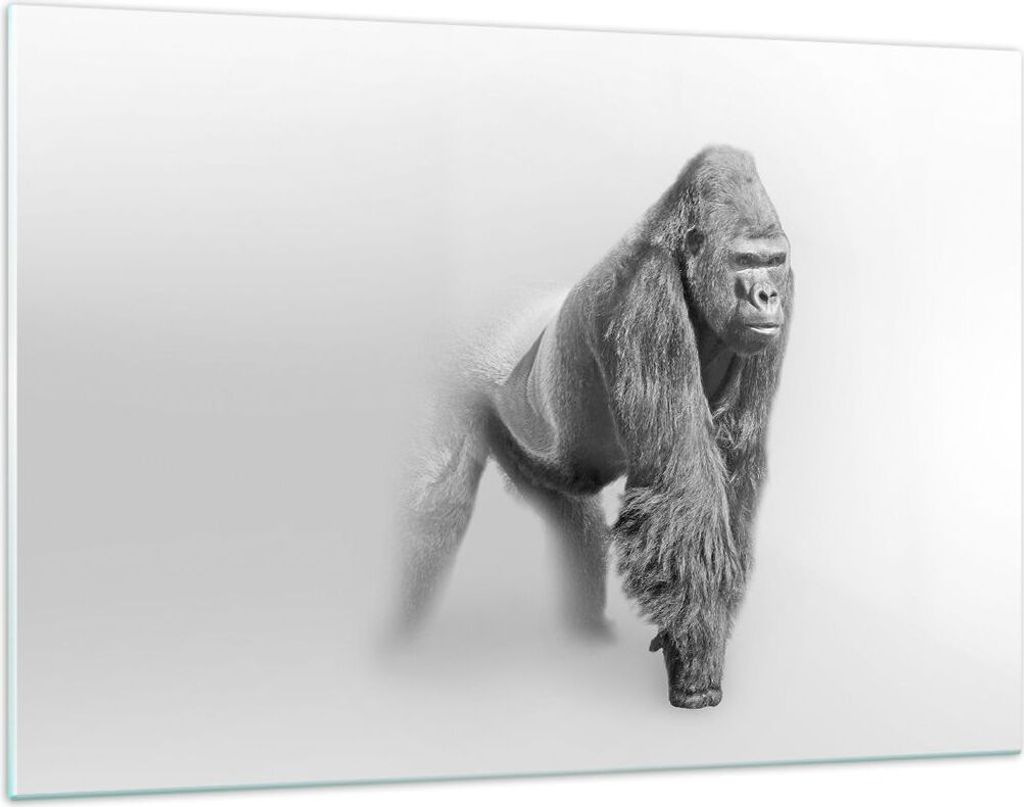 Bilder auf glas - Orang-Utan Tier - 120x80cm - Glasbilder - Wandbilder - Kunstdruck - zum Aufhängen bereit - Wanddekoration aus Glas - Glas Bilder...