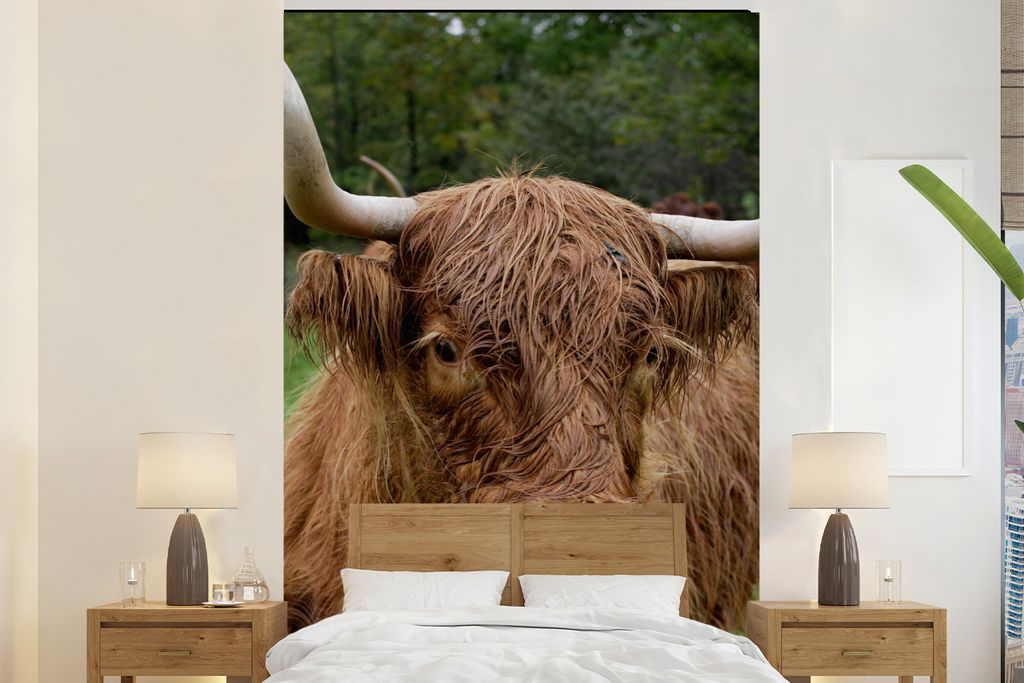 MuchoWow Fototapete für Wohnzimmer oder Schlafzimmer Wandtapete Vinyl Motivtapete Schottische Highlander - Tiere - Gras - 225x350 cm - Schlafzim...