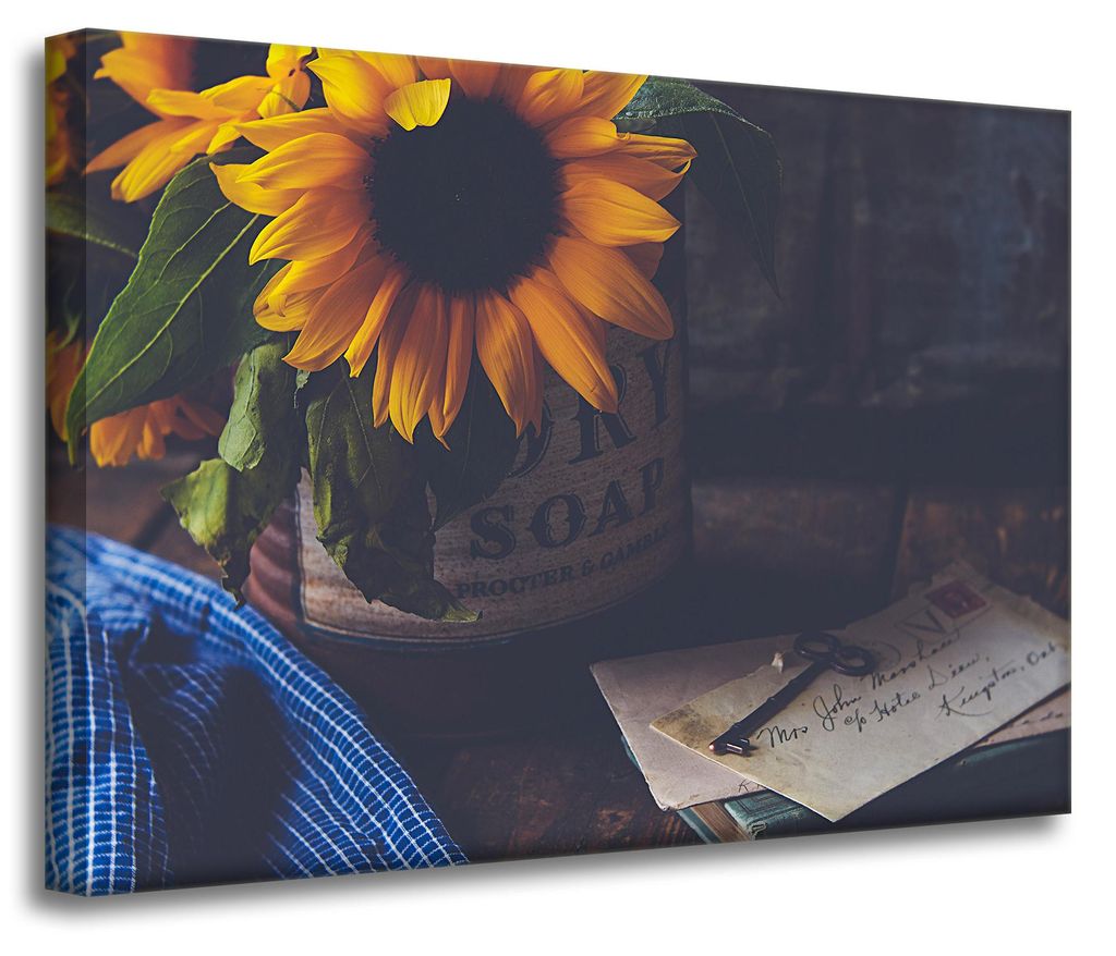 Leinwanddruck Sonnenblumen Vintage 70x50