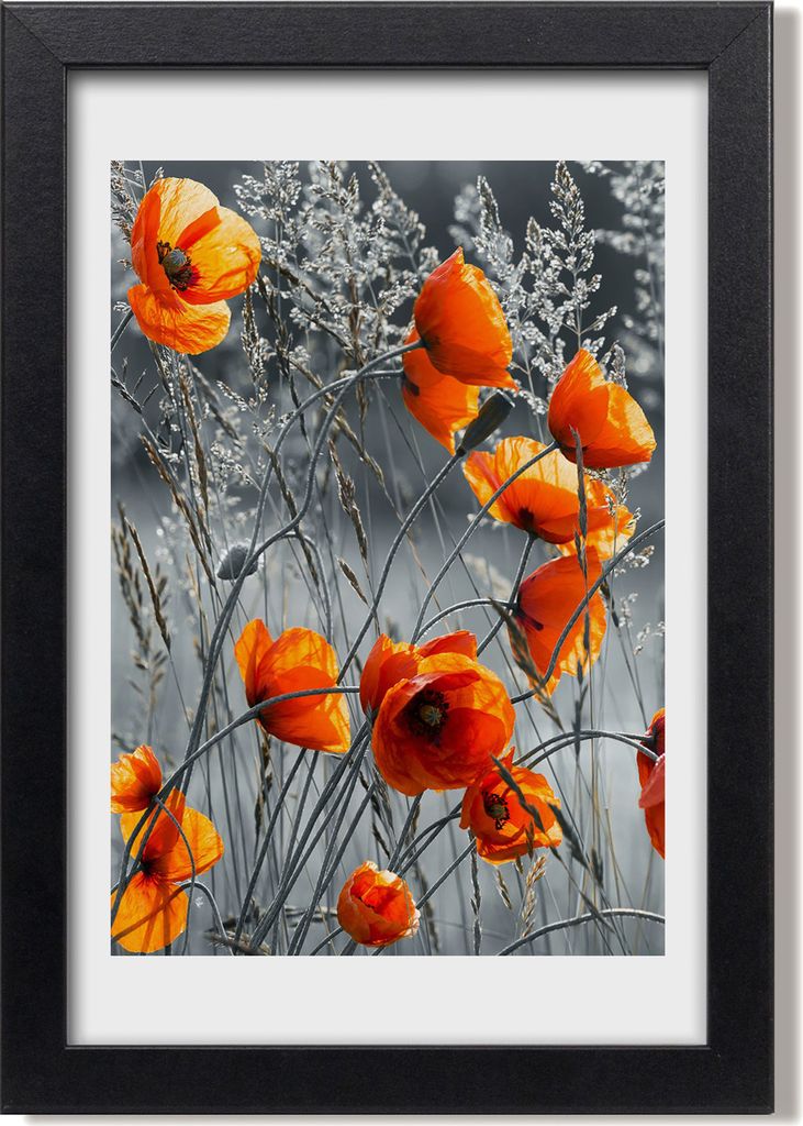 Bild 20x30 MDF-Rahmen, Wandkunst Feldmohnblumen