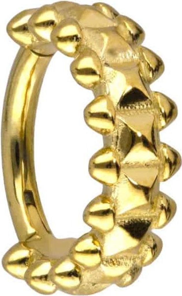 Ohrpiercing, Nasenpiercing, Septum Piercing Chirurgenstahl Segmentring Clicker NIETENDESIGN Gold Innendurchmesser: 8 mm