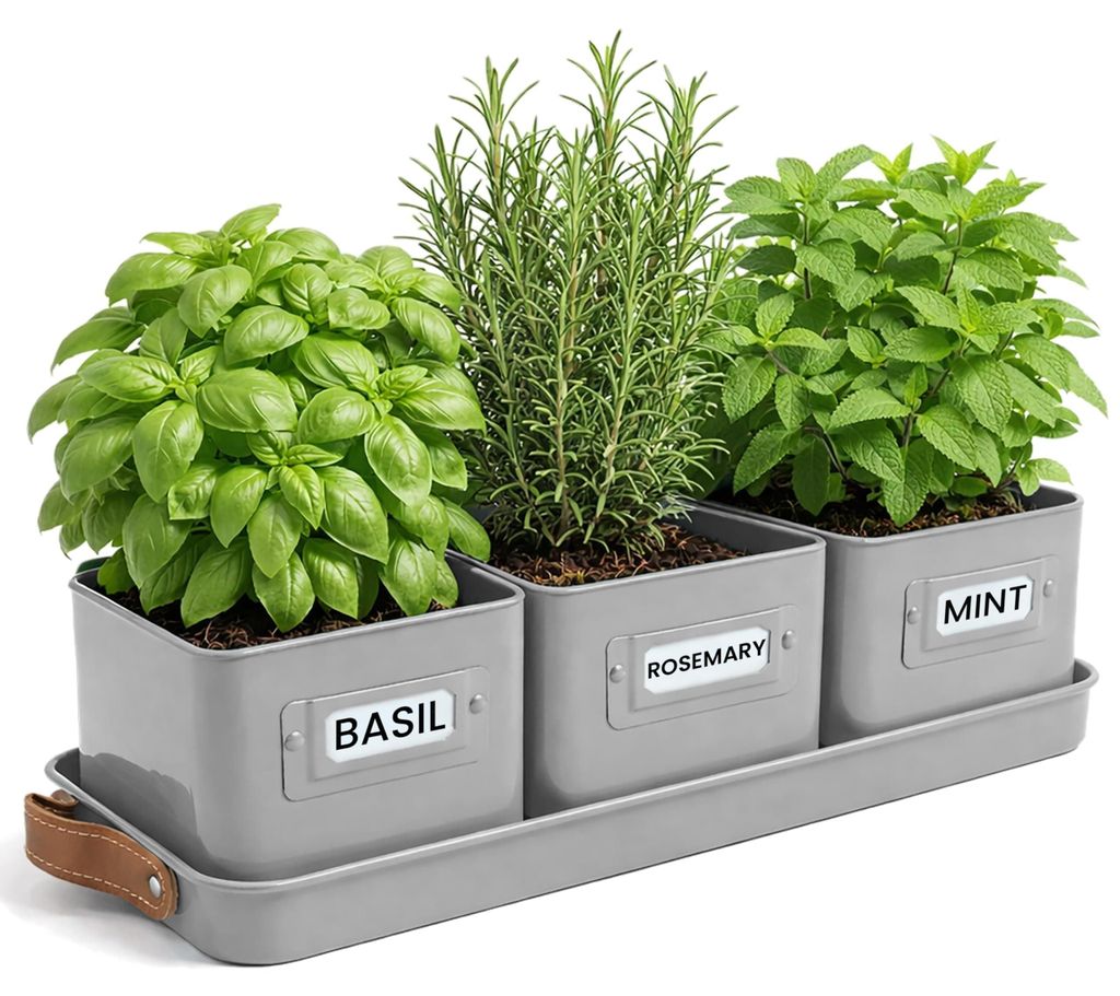 3er-Set Kräutertöpfe – Kräutertöpfe für Ihren Kräutergarten, die Fensterbank und als Innendekoration – Basilikumtopf mit Ledergriffen und...