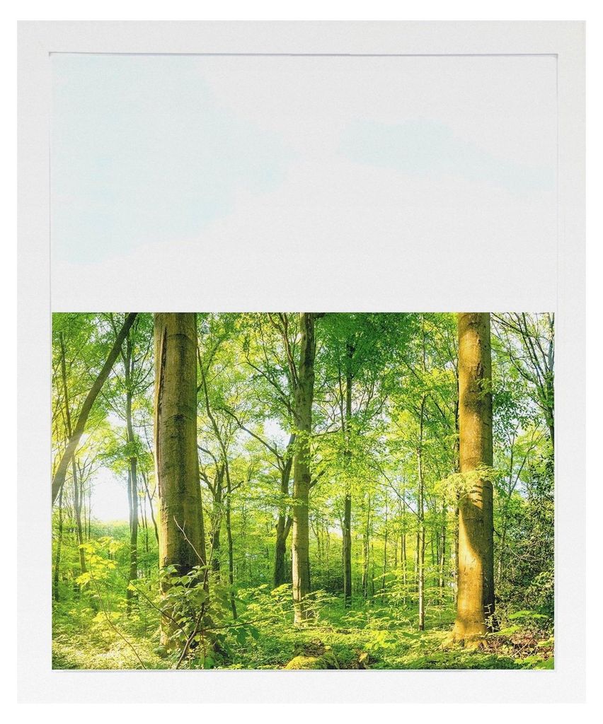 Blickdichte Fensterfolie für Sichtschutz, geeignet für Fenster, Glastüren und Duschkabinen, Motiv Wald 80x57cm