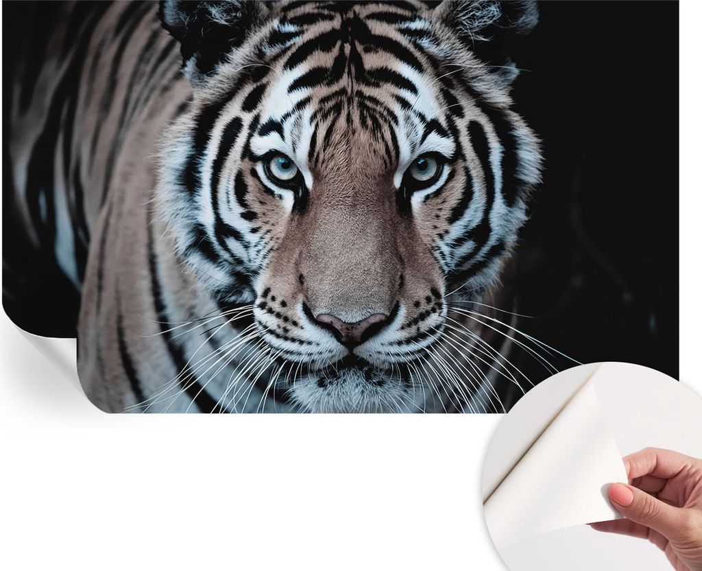Selbstklebende Wandtapete - Dekorative Tapete für Wohnzimmer - Klebefolie für Wandbilder - Tapetenfolie für Wanddekoration - 416x254 - Tigerport...