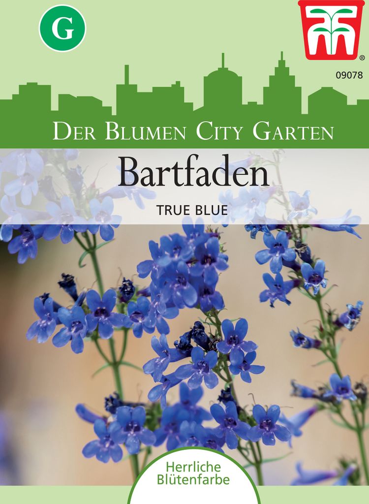 Bartfaden True Blue | Blumensamen von Thompson & Morgan