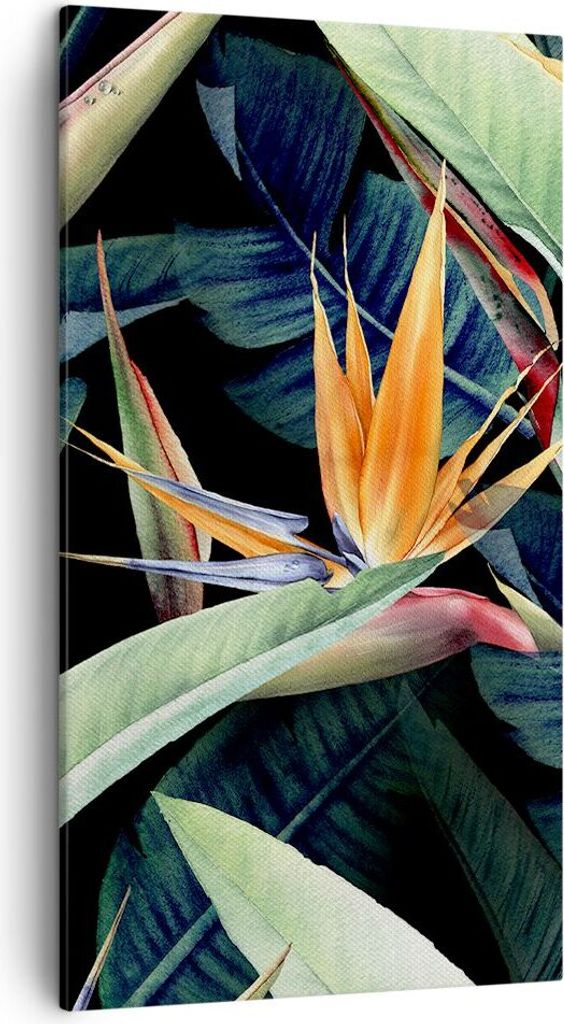 Bild auf Leinwand - Leinwandbild - Einteilig - Pflanze Tropisch Blume - 45x80cm - Wand Bild - Wanddeko - Wandbilder - Leinwanddruck - Bilder - Wand...
