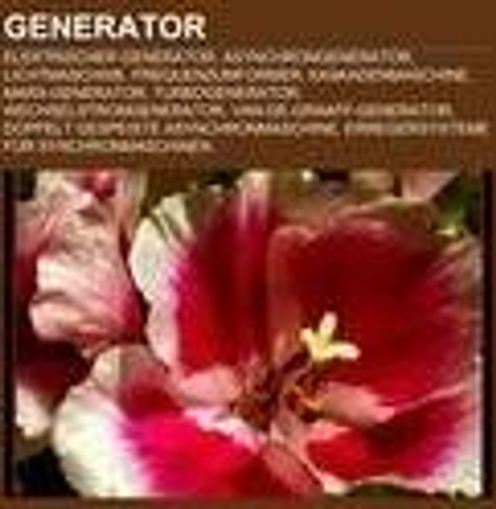 Generator