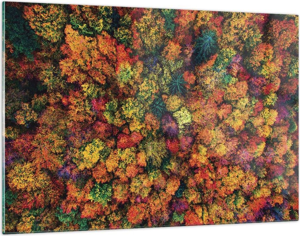 Bilder auf glas - Einteilig - Herbst Perspektive Vogel - 120x80cm - Glasbilder - Wandbilder - Bilder - zum Aufhängen bereit - Wanddekoration aus G...
