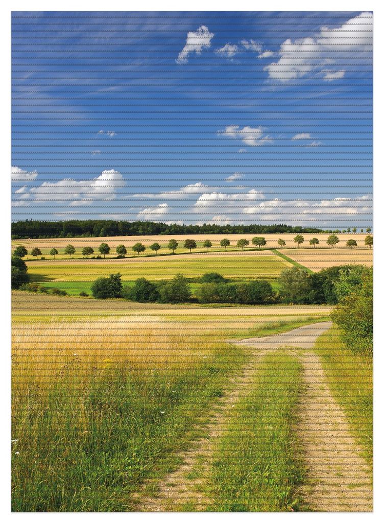 Wallario Duschmatte Antirutschmatte Badmatte Fußmatte Feldlandschaft unter blauem Himmel, Größe ca. 90 x 65 cm