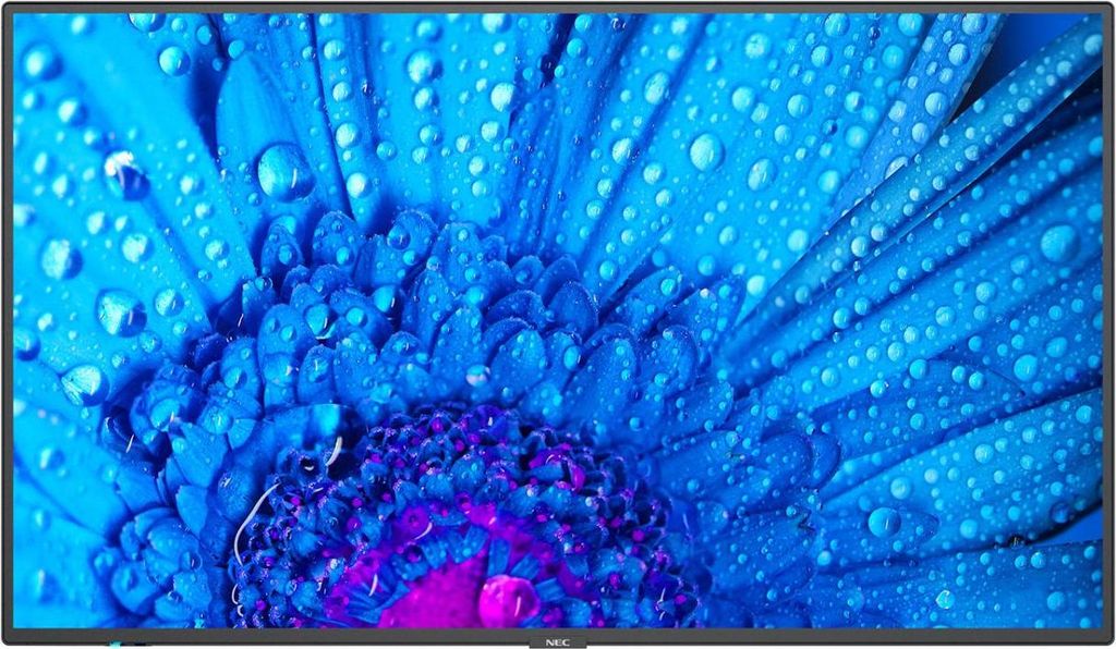 NEC MultiSync M651, Public Display, (UltraHD/4K, Lautsprecher)