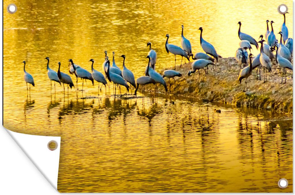 MuchoWow 120x80 cm Outdoor-Poster Gartendeko Sichtschutz Garten Poster für den Garten Schwarm von Libellen an einem goldenen See